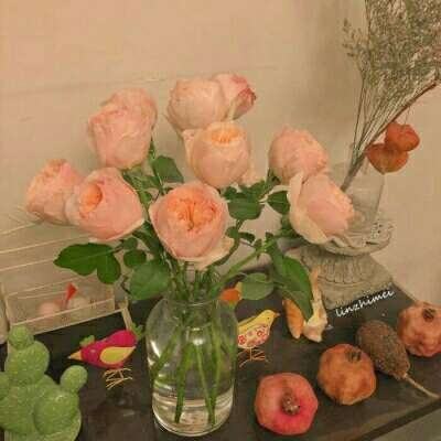 开云·体育(kaiyun)app下载